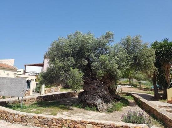 Villa Margarita'S Farm, Private Pool Maláthiros المظهر الخارجي الصورة