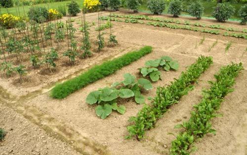 Villa Margarita'S Farm, Private Pool Maláthiros المظهر الخارجي الصورة